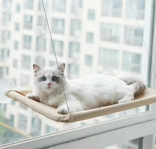 CloudPerch