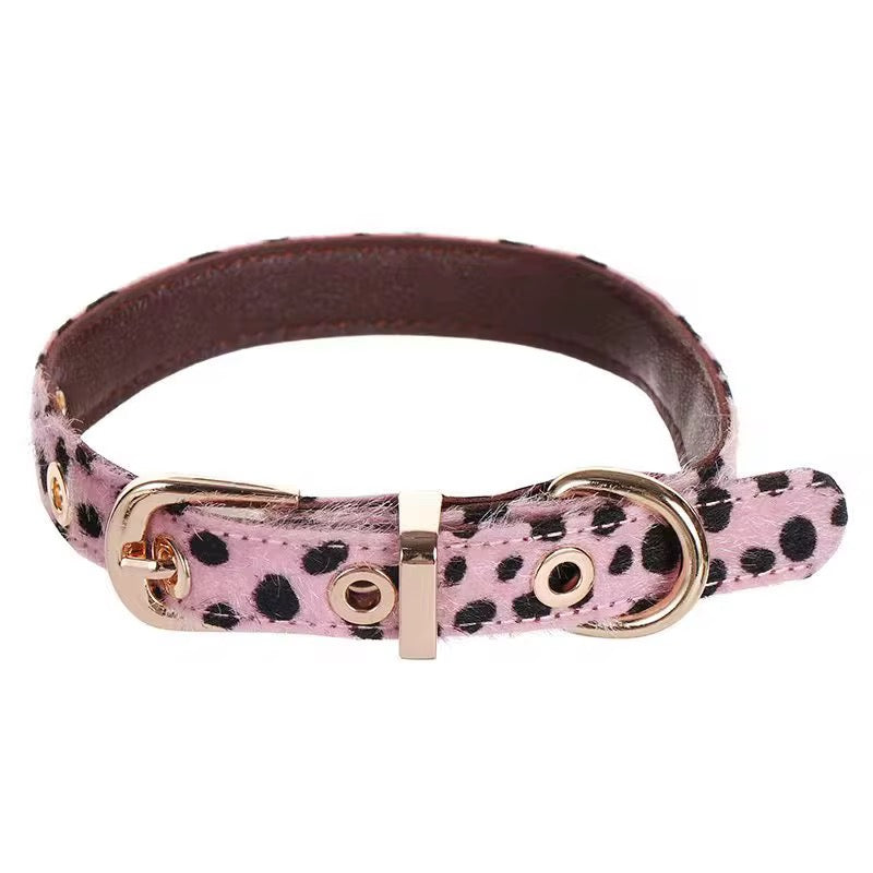 WildPaw