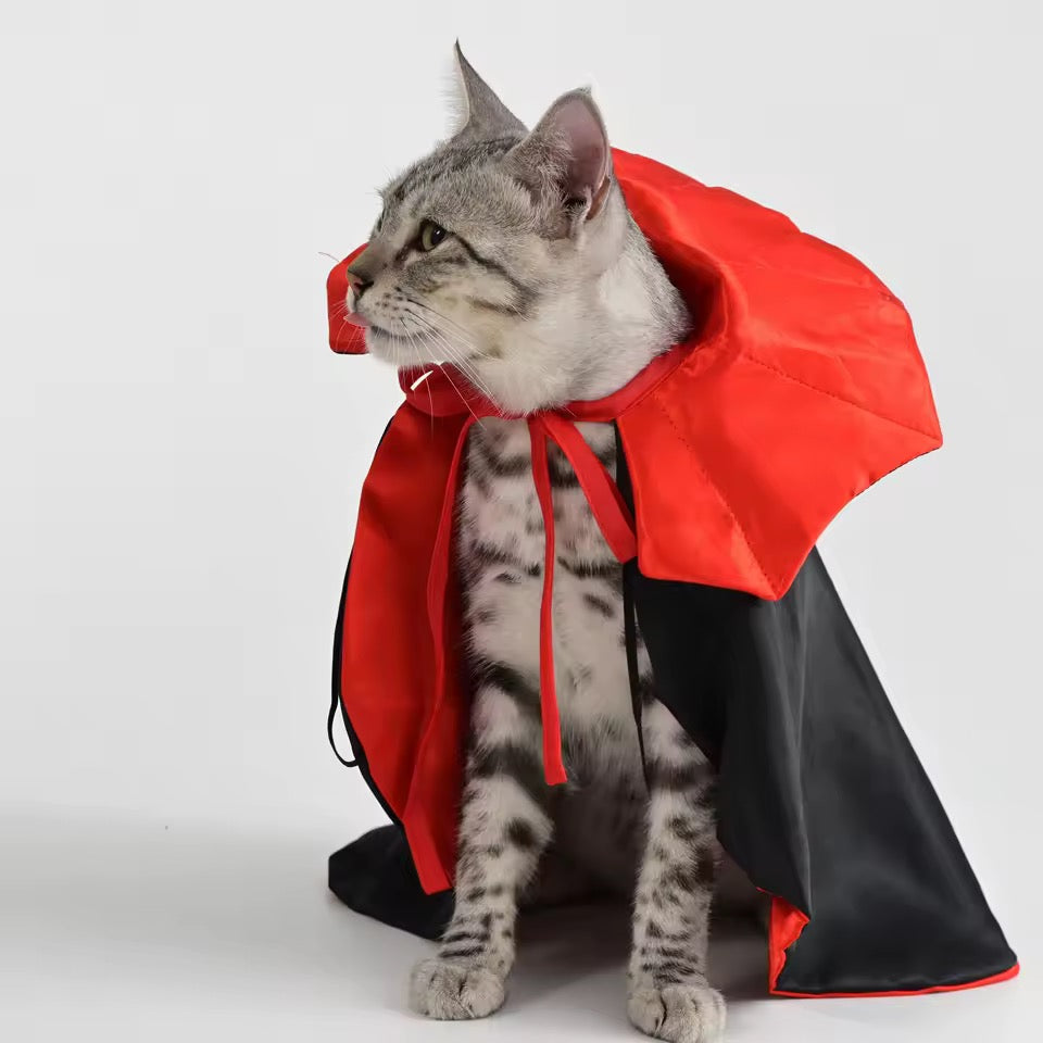 VampiPaw