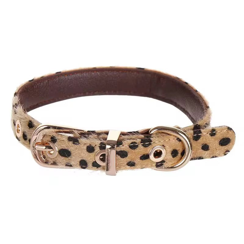 WildPaw