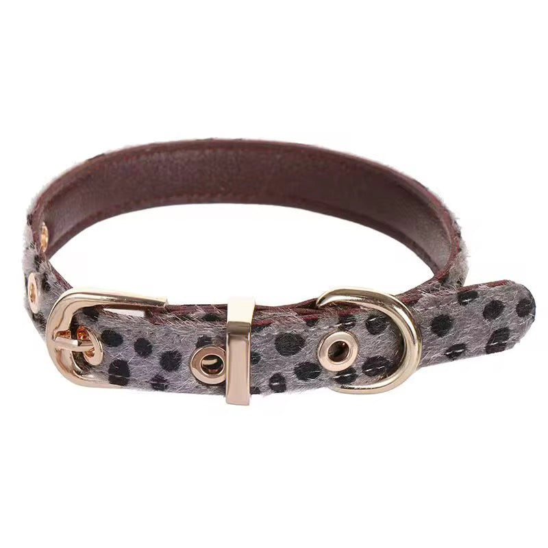 WildPaw