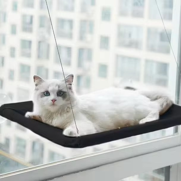 CloudPerch