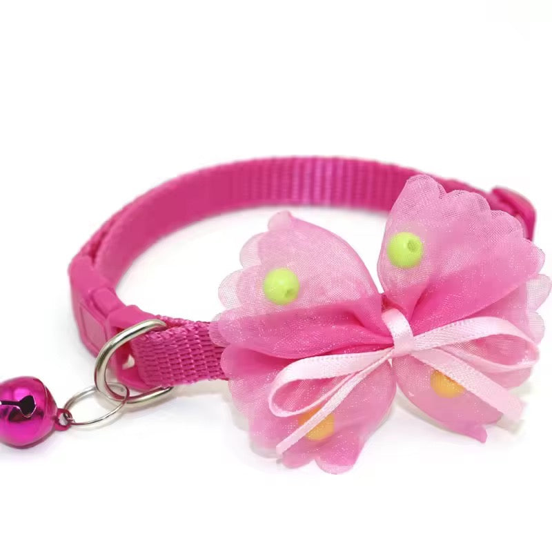 BowBelle