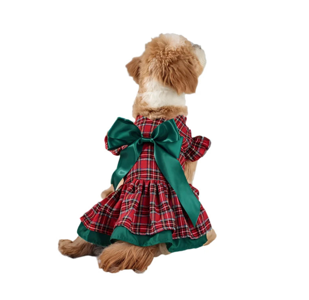 PlaidBelle