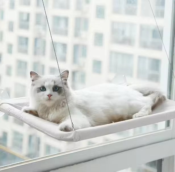 CloudPerch